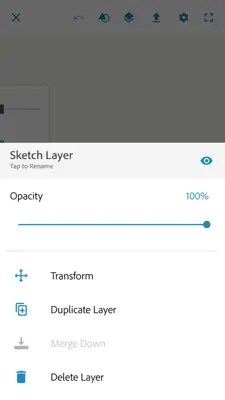 Adobe Photoshop Sketch android App screenshot 5